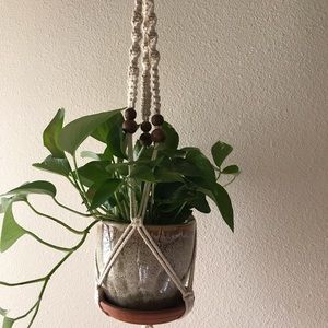Medium Macrame Plant Hanger